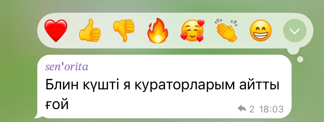 Отзыв об приложении Tezzy для подготовки к ЕНТ — №8