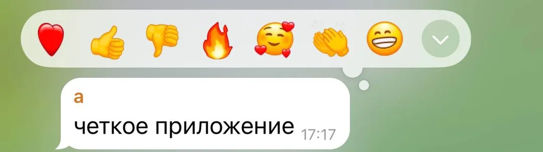 Отзыв об приложении Tezzy для подготовки к ЕНТ — №24