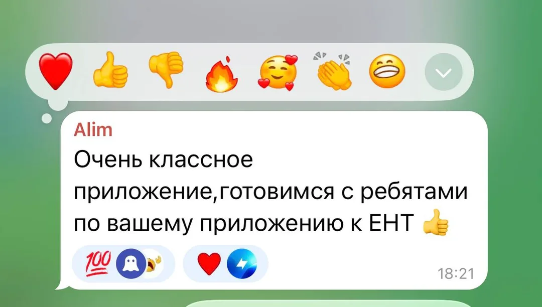 Отзыв об приложении Tezzy для подготовки к ЕНТ — №6