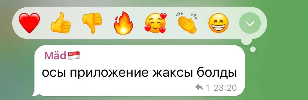 Отзыв об приложении Tezzy для подготовки к ЕНТ — №20