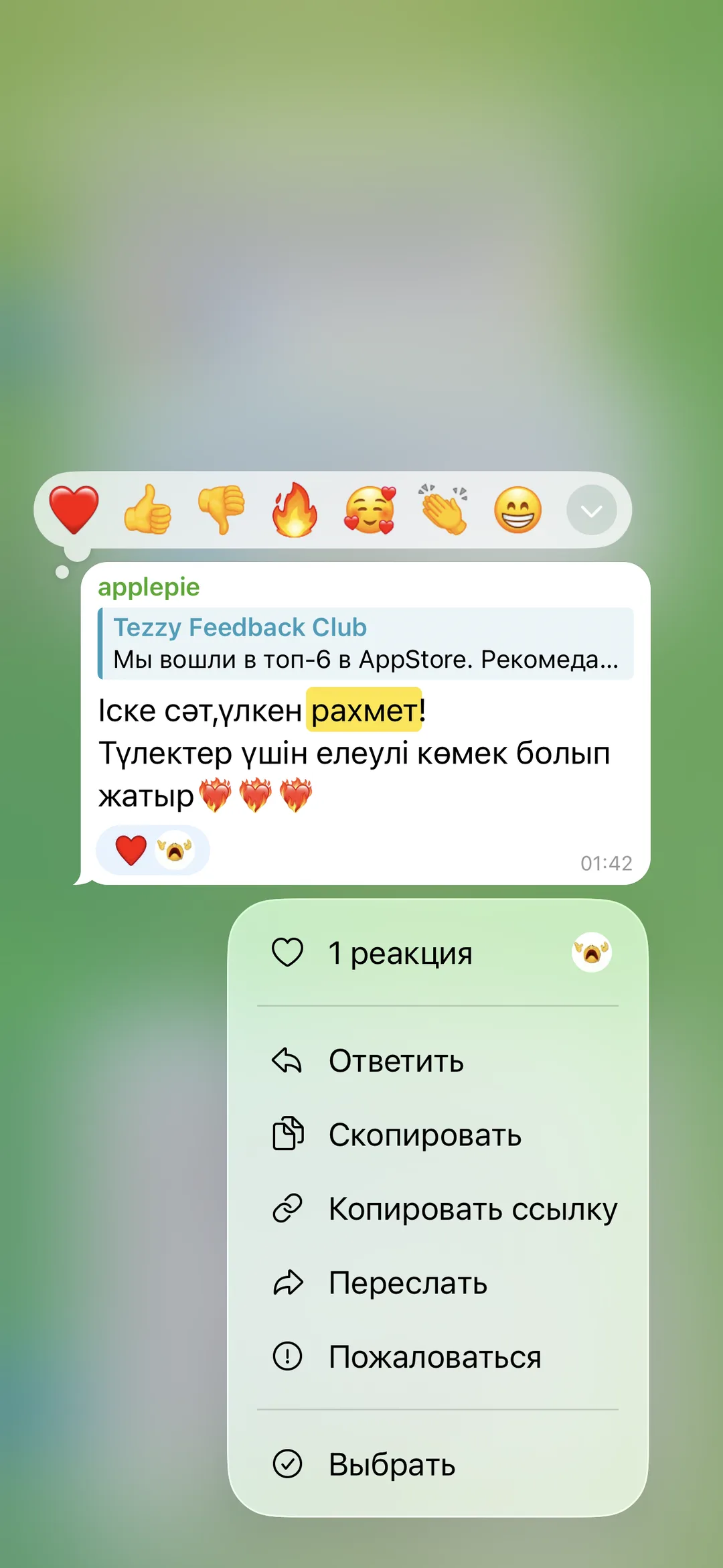 Отзыв об приложении Tezzy для подготовки к ЕНТ — №25